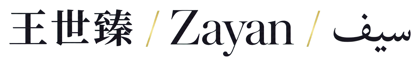 王世臻 / Zayan / سيف 艺术标题
